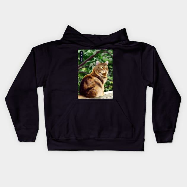 Maine Coon - Black Kids Hoodie by Thor Reyes